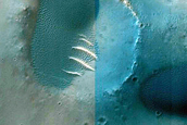 Dune Survey