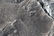 Terrain around Crater in Tempe Terra