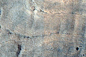 Gullies in Crater in Acidalia Planitia