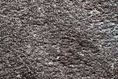 Monitor Plains near North Pole