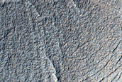 North Facing Deposit in Crater in Utopia Planitia