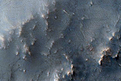 Terrain Sample