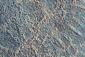 Northern High-Latitude Frost-Enhanced Polygons