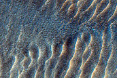 Western Rim of Lyot Crater