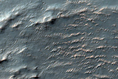 Terrain Sample