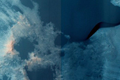 Dune Survey