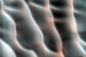 Dune Monitoring in Lomonosov Crater
