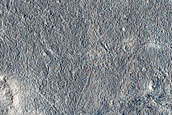 Utopia Planitia Terrain
