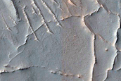 Ridges in Nilosyrtis Mensae