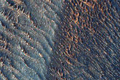 Layered Sulfates in Candor Chasma
