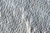 Terrain Sample