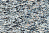 Terrain Southeast of Gigas Fossae