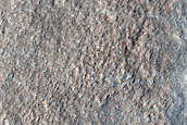 Terrain Sample
