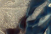 Polar Barchan Dune Convoy at Head of Olympia Undae