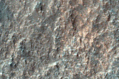 Terrain Sample