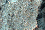 Dune Survey