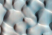 Dune Survey