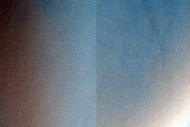 Dune Survey