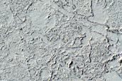 Patterned Ground in Elysium Planitia