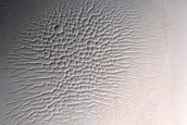 Terrain Sample