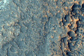 Inverted Channel on Crater Floor near Eden Patera