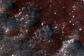 Terrain Sample