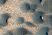 Scandia Cavi Transverse Aeolian Ridges Wakes Monitoring