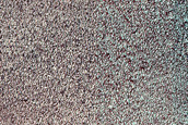 Fringe of Perennial Ice