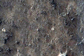 Terrain Sample
