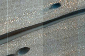 Chasma Boreale West Flank Barchan and Linear Dunes