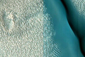 Dune Field
