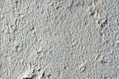Cerberus Tholi