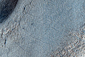 Terrain Sample