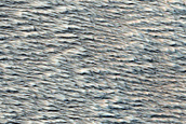 Daedalia Planum Flow Terrain
