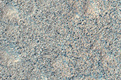 Terrain Sample
