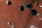 Barchan Dunes in North Polar Layered Deposits