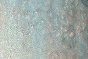 Dune Field