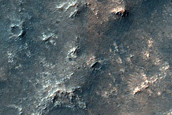 Dune Field