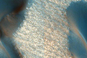 Dust-Raising Event and Streak Monitoring in North Polar Dune Field