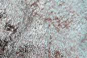 Fringe of Perennial Ice