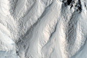 Gully Monitoring