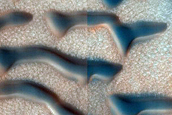 Dune Field