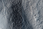 Terrain Sample