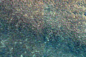 Trough in North Polar Layered Deposits