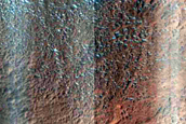 Gully Monitoring