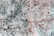 Perennial Ice