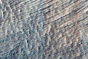 Gully Monitoring