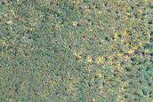 Wind Streaks