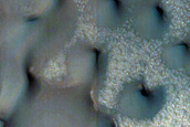 Polygons and Dune Monitoring
