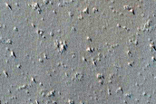 Candidate Recent Impact Site